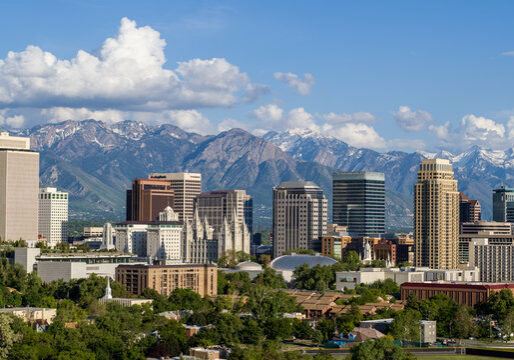 360_F_262109313_7MaObT7y7yrMrArQDomrZYZ3oR3otD6r